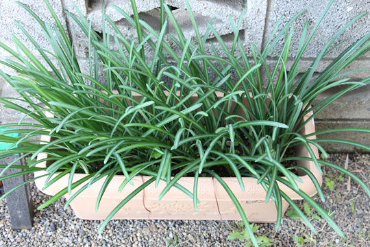 f:id:takahikonojima:20181110183535j:plain