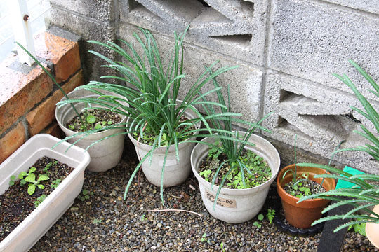 f:id:takahikonojima:20181110183540j:plain