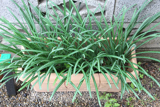 f:id:takahikonojima:20181110183547j:plain