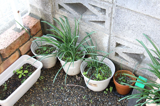 f:id:takahikonojima:20181110183600j:plain