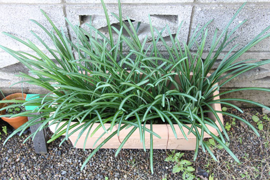 f:id:takahikonojima:20181110183606j:plain