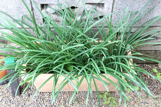 f:id:takahikonojima:20181118095346j:plain