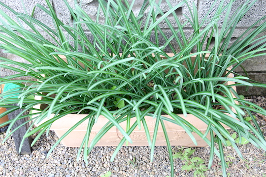 f:id:takahikonojima:20181119090714j:plain