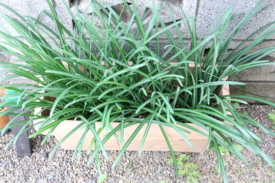 f:id:takahikonojima:20181120090045j:plain