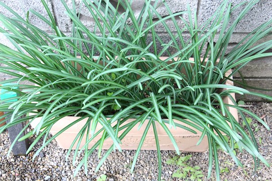 f:id:takahikonojima:20181122090036j:plain