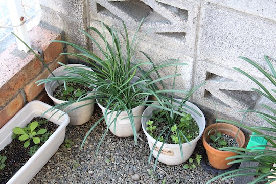 f:id:takahikonojima:20181123093421j:plain