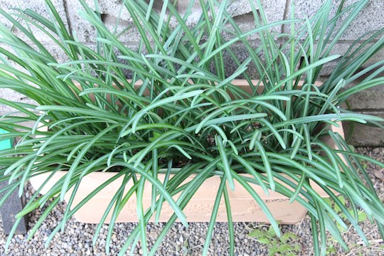 f:id:takahikonojima:20181124082013j:plain