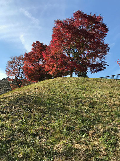 f:id:takahikonojima:20181127145355j:plain f:id:takahikonojima:20181127145355j:plain