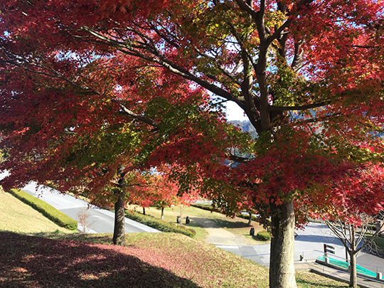 f:id:takahikonojima:20181127145405j:plain f:id:takahikonojima:20181127145405j:plain