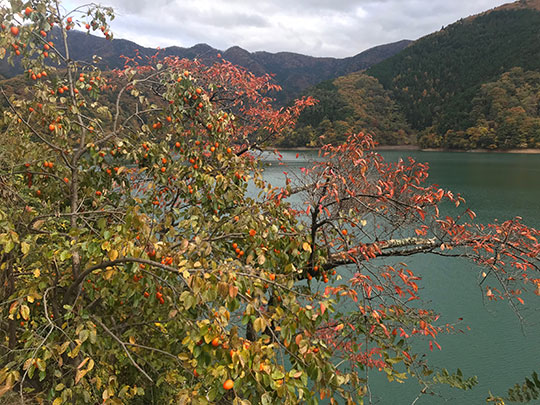 f:id:takahikonojima:20181127150914j:plain