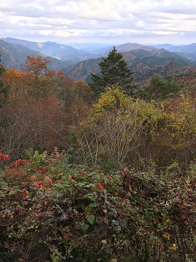 f:id:takahikonojima:20181127150936j:plain