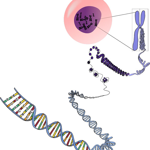 f:id:takahikonojima:20181130163243j:plain f:id:takahikonojima:20181130163243j:plain