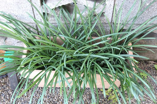 f:id:takahikonojima:20181219092455j:plain