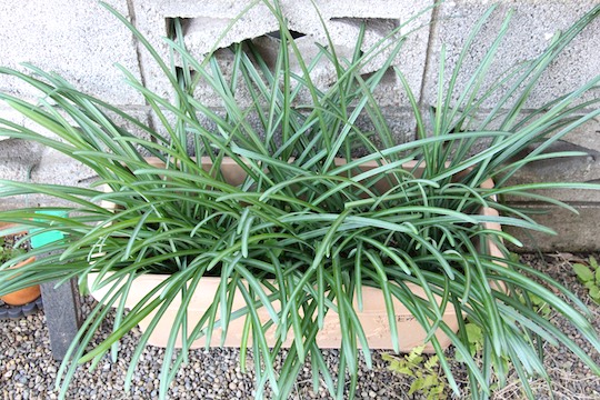 f:id:takahikonojima:20181221082435j:plain