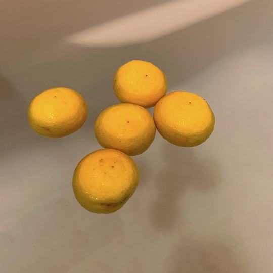 f:id:takahikonojima:20190104192217j:plain