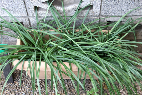 f:id:takahikonojima:20190106085334j:plain