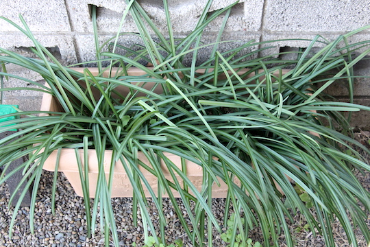 f:id:takahikonojima:20190107084626j:plain