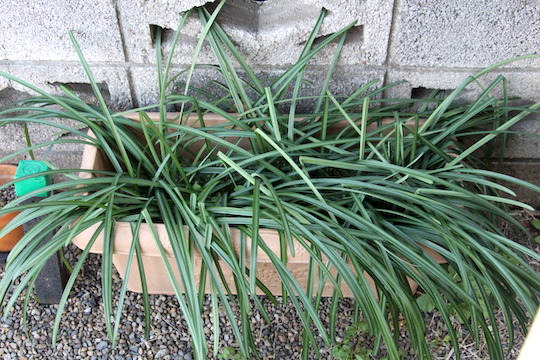 f:id:takahikonojima:20190110081640j:plain