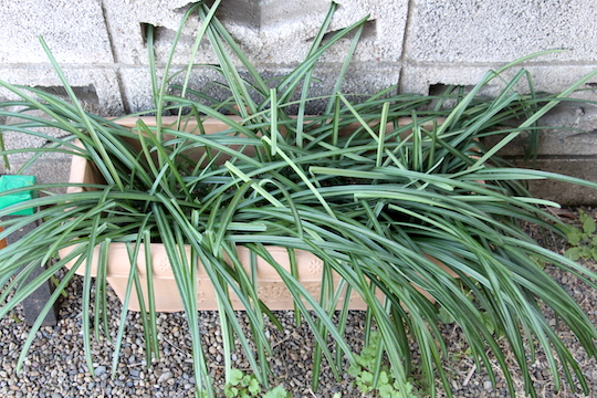 f:id:takahikonojima:20190114082140j:plain