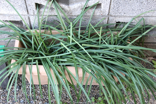 f:id:takahikonojima:20190118102237j:plain