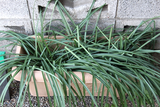 f:id:takahikonojima:20190119074003j:plain