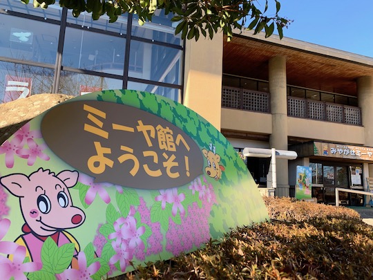 f:id:takahikonojima:20190119105102j:plain