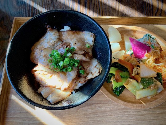 f:id:takahikonojima:20190119112329j:plain f:id:takahikonojima:20190119112329j:plain