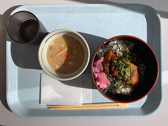 f:id:takahikonojima:20190130154921j:plain
