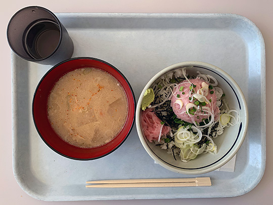 f:id:takahikonojima:20190131160114j:plain