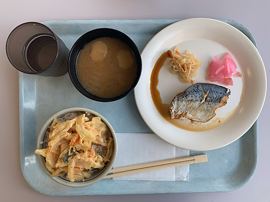 f:id:takahikonojima:20190131160255j:plain