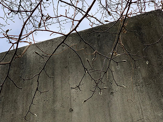 f:id:takahikonojima:20190131160337j:plain