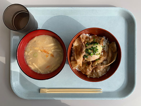 f:id:takahikonojima:20190131160352j:plain