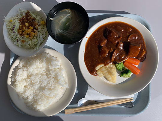 f:id:takahikonojima:20190131160520j:plain