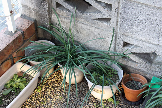 f:id:takahikonojima:20190202093758j:plain