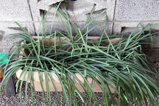 f:id:takahikonojima:20190202093805j:plain