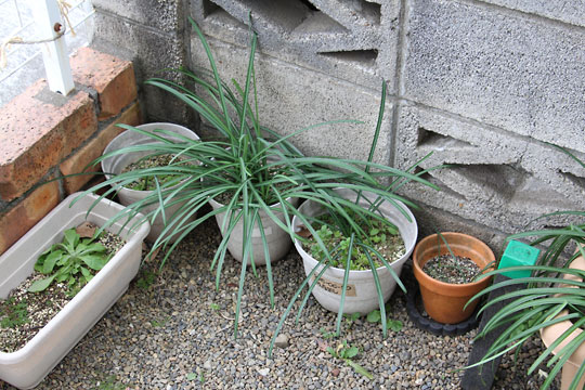 f:id:takahikonojima:20190202093812j:plain