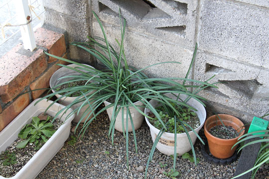 f:id:takahikonojima:20190202093822j:plain