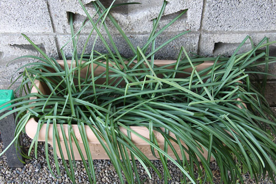 f:id:takahikonojima:20190202093828j:plain