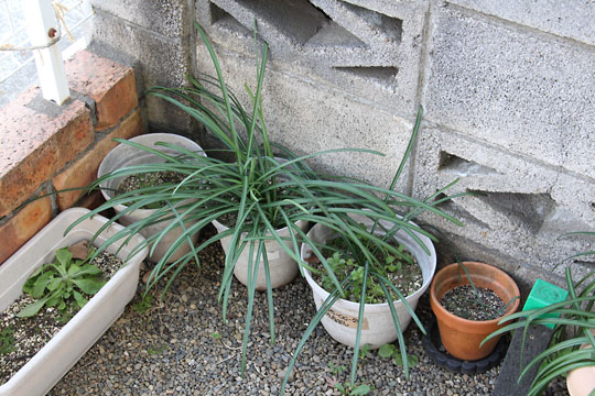 f:id:takahikonojima:20190202093834j:plain