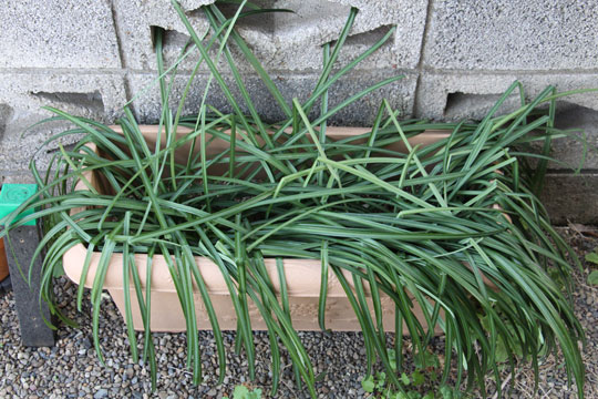 f:id:takahikonojima:20190202093842j:plain