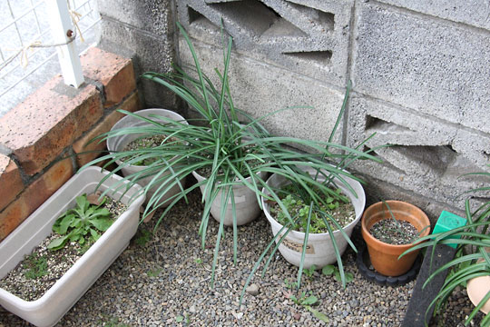 f:id:takahikonojima:20190202093848j:plain