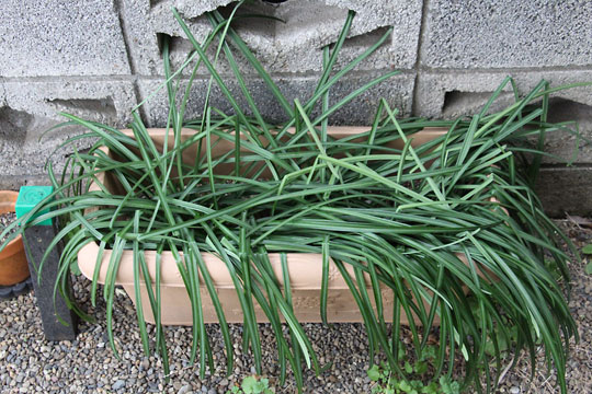 f:id:takahikonojima:20190202093854j:plain