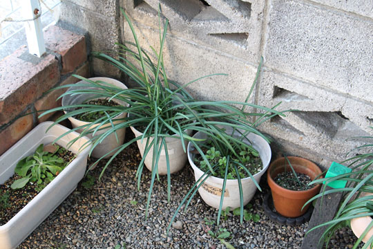 f:id:takahikonojima:20190202093900j:plain