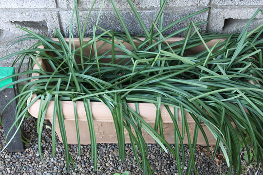 f:id:takahikonojima:20190202093918j:plain