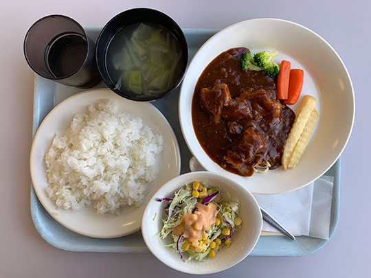 f:id:takahikonojima:20190210180732j:plain