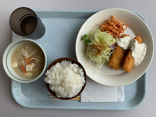 f:id:takahikonojima:20190210180903j:plain