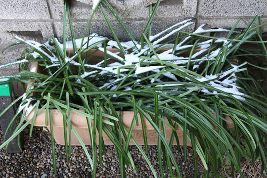 f:id:takahikonojima:20190216173157j:plain