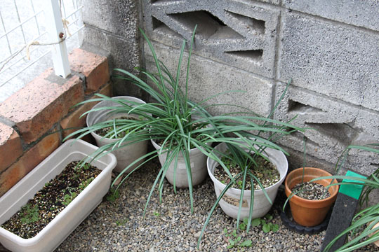 f:id:takahikonojima:20190216173203j:plain