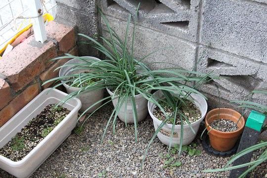 f:id:takahikonojima:20190216173251j:plain