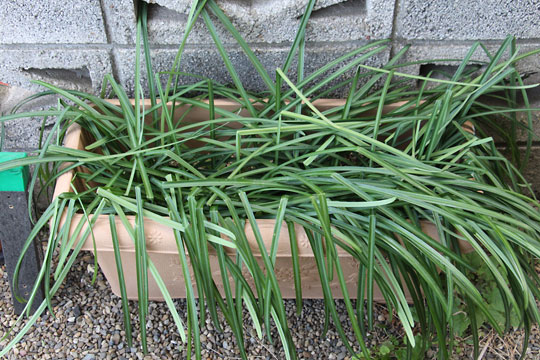 f:id:takahikonojima:20190216173313j:plain